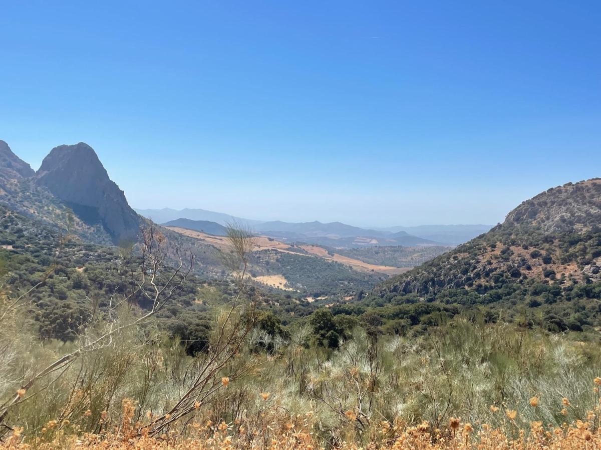 Cortijo Rancho Verde Colmenar Eksteriør bilde