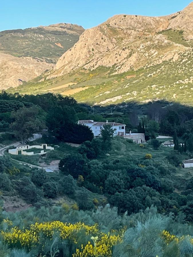 Cortijo Rancho Verde Colmenar Eksteriør bilde