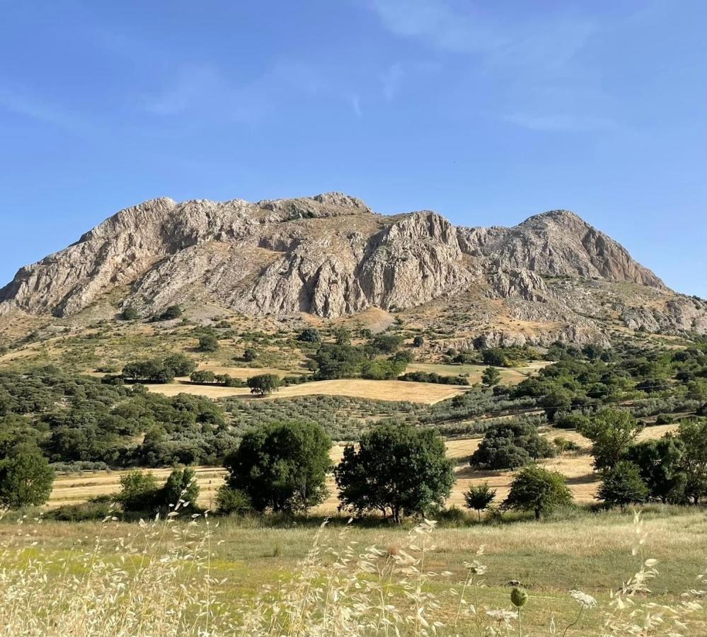 Cortijo Rancho Verde Colmenar Eksteriør bilde