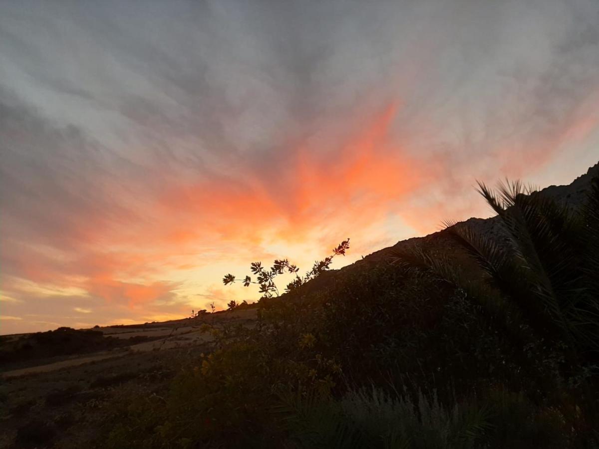 Cortijo Rancho Verde Colmenar Eksteriør bilde