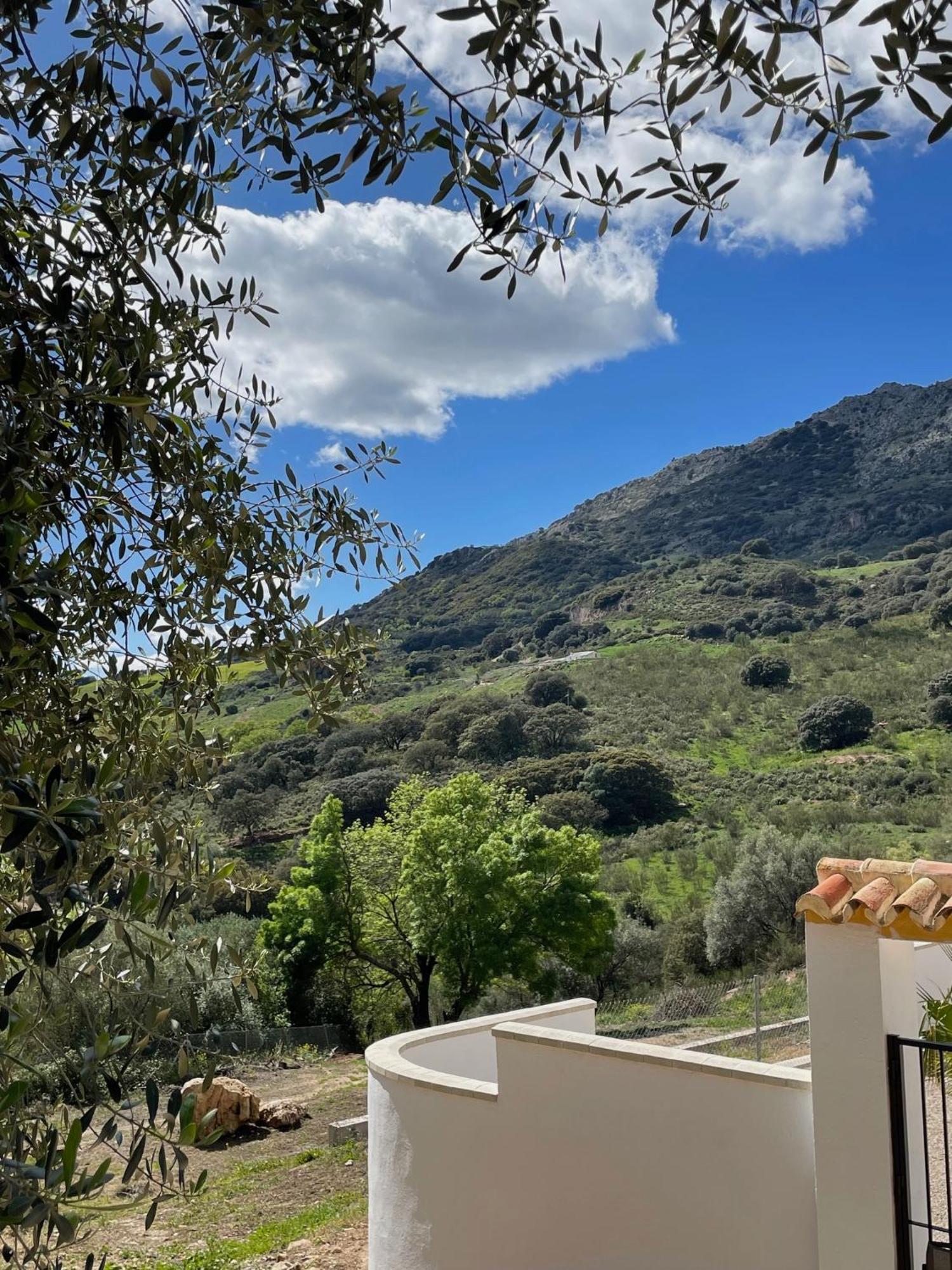 Cortijo Rancho Verde Colmenar Eksteriør bilde