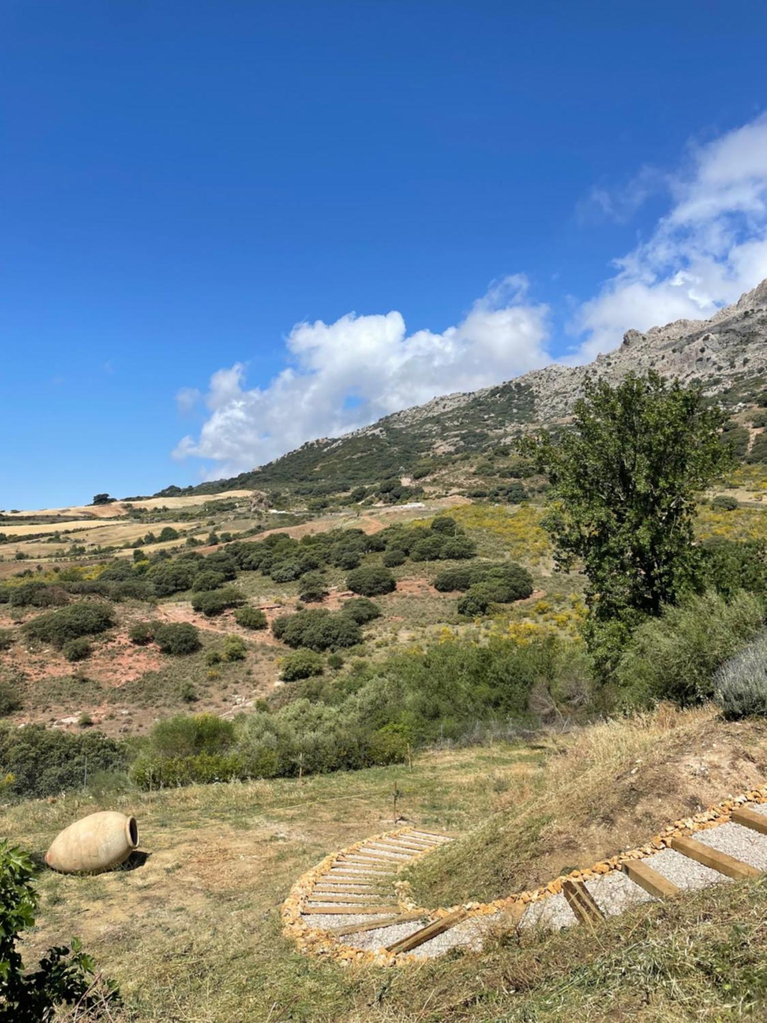 Cortijo Rancho Verde Colmenar Eksteriør bilde