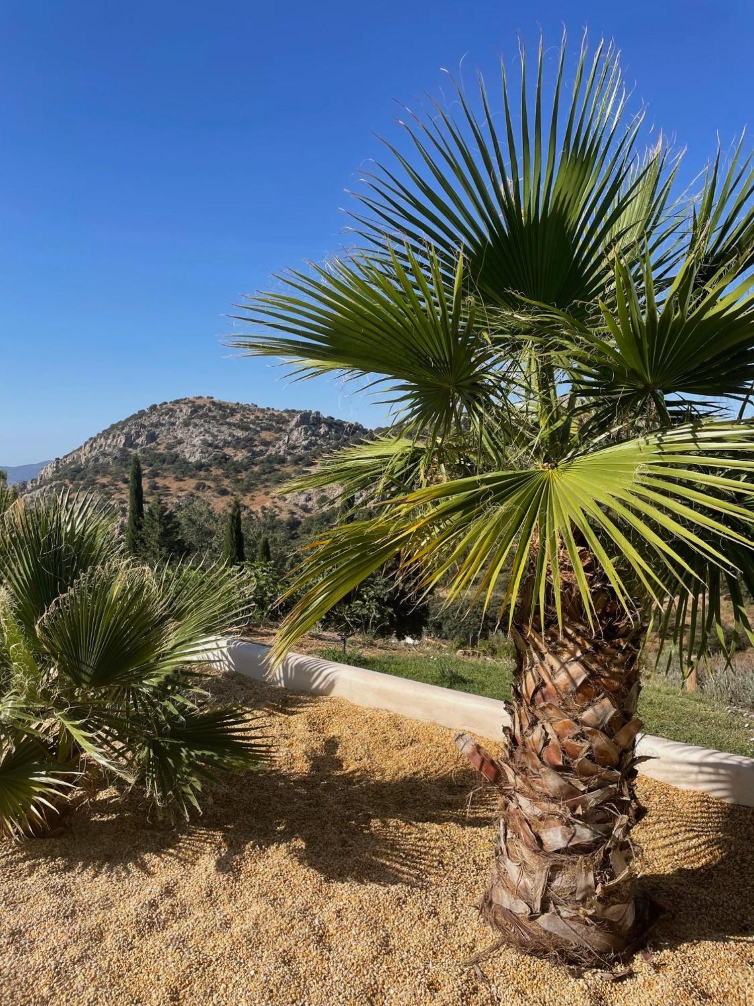 Cortijo Rancho Verde Colmenar Eksteriør bilde